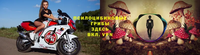 Галлюциногенные грибы Magic Shrooms  Оханск 